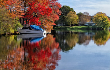 Картинка природа реки озера деревья озеро