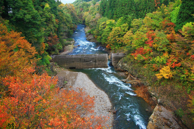 Обои картинки фото природа, реки, озера, камни, вода, лес