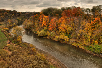 Картинка природа реки озера вода осень деревья