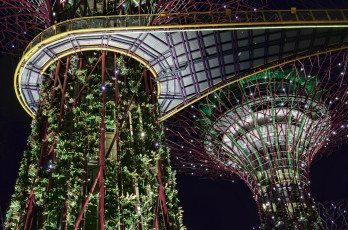 Картинка города сингапур оригинальный дизайн ночь