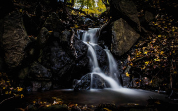 Картинка природа реки озера лес камни ручей