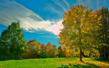 Картинка природа деревья hdr осень