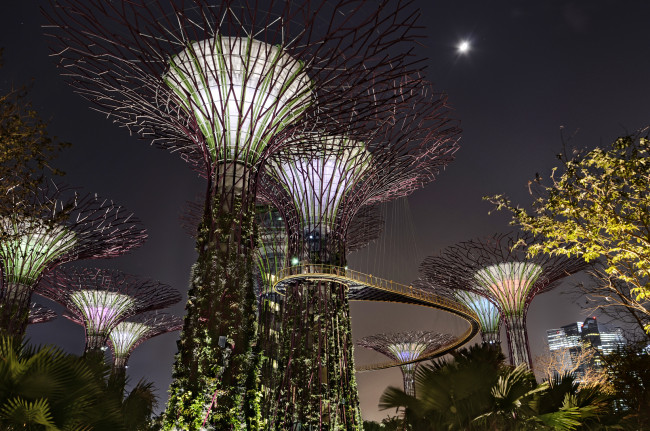 Обои картинки фото города, сингапур, оригинальный, дизайн, ночь