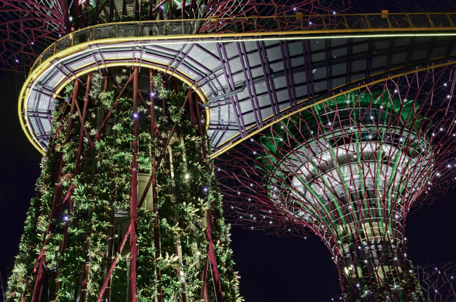 Обои картинки фото города, сингапур, оригинальный, дизайн, ночь