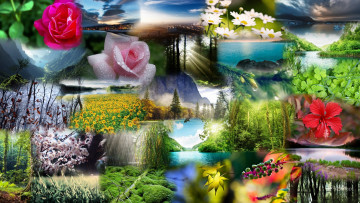 Картинка разное компьютерный+дизайн цветы ветки