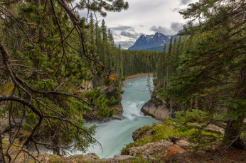 Картинка природа реки озера горы река лес