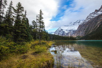 Картинка природа реки озера лес река горы