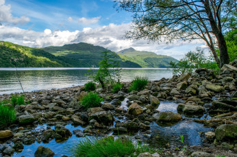 Картинка природа реки озера река лес горы