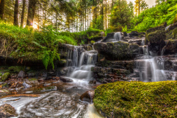 Картинка природа водопады водопад река лес