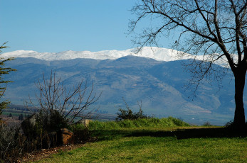 Картинка природа горы камень трава кусты дерево долина