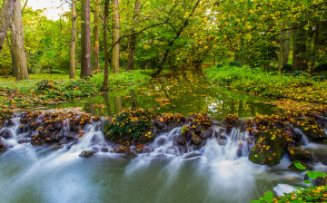 Картинка природа реки озера река лес