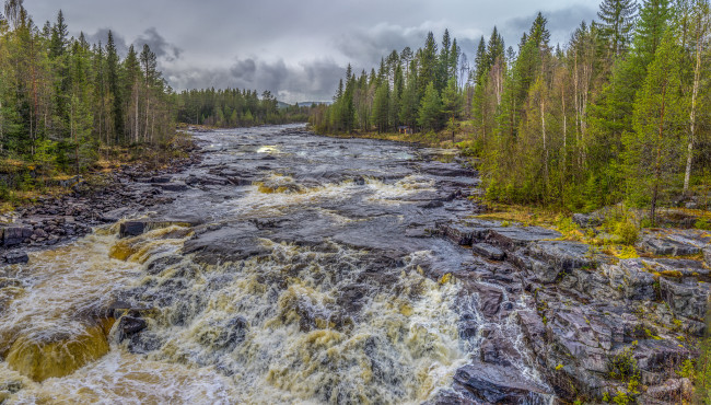 Обои картинки фото природа, реки, озера, река, лес