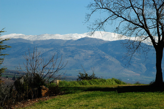 Обои картинки фото природа, горы, камень, трава, кусты, дерево, долина