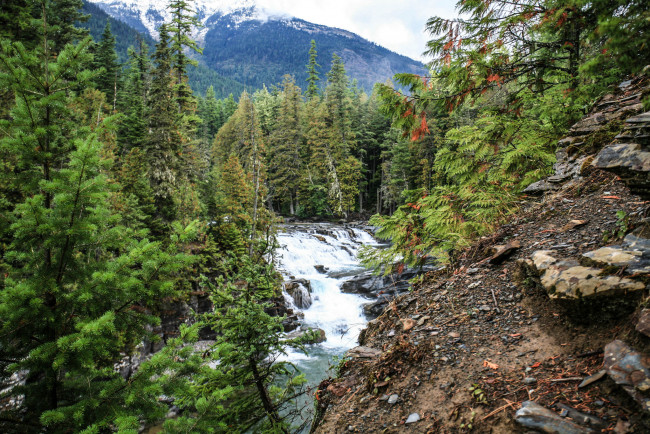 Обои картинки фото природа, реки, озера, река, лес, горы