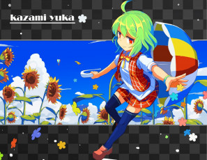 Картинка аниме touhou фон взгляд девушка