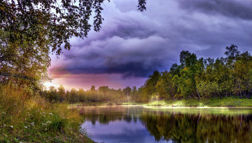 Картинка природа реки озера река лес