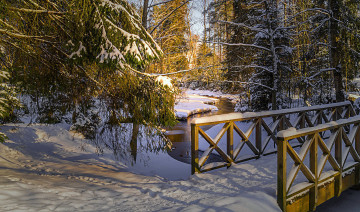 Картинка природа зима лес снег