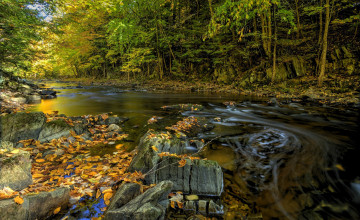 Картинка природа реки озера река лес