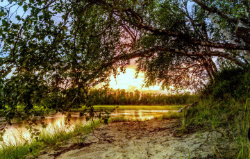 Картинка природа реки озера река лес