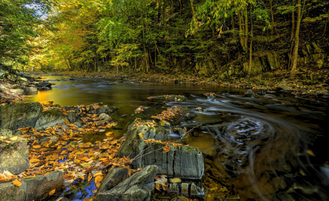 Обои картинки фото природа, реки, озера, река, лес