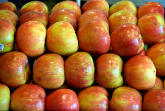 Картинка еда Яблоки много яблоки