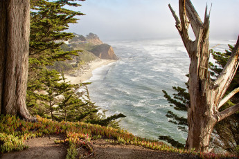 Картинка природа побережье простор