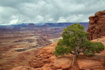 Картинка природа пустыни простор