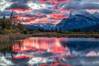 Картинка природа реки озера простор