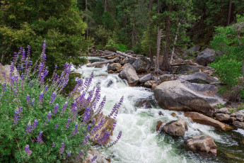 Картинка природа реки озера простор