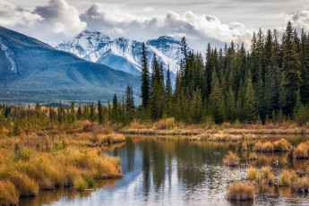 Картинка природа реки озера простор