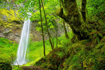 Картинка природа водопады простор