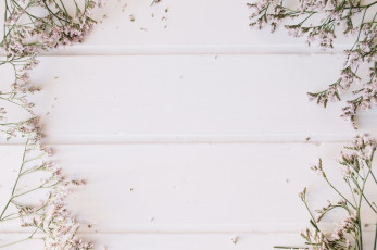 Картинка цветы веточки фон