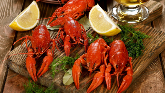 Обои картинки фото еда, рыба,  морепродукты,  суши,  роллы, зелень, раки, лимон