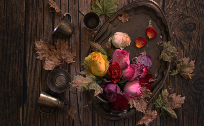 Обои картинки фото цветы, розы, листья