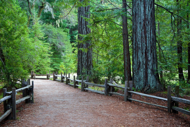 Обои картинки фото природа, дороги, простор