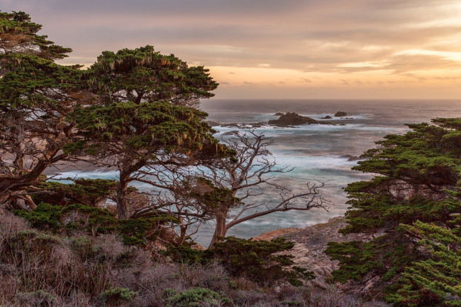 Обои картинки фото природа, побережье, простор