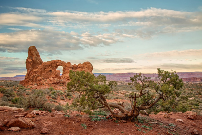 Обои картинки фото природа, пустыни, простор