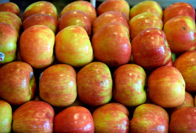 Обои картинки фото еда, Яблоки, много, яблоки