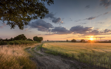 Картинка природа дороги простор