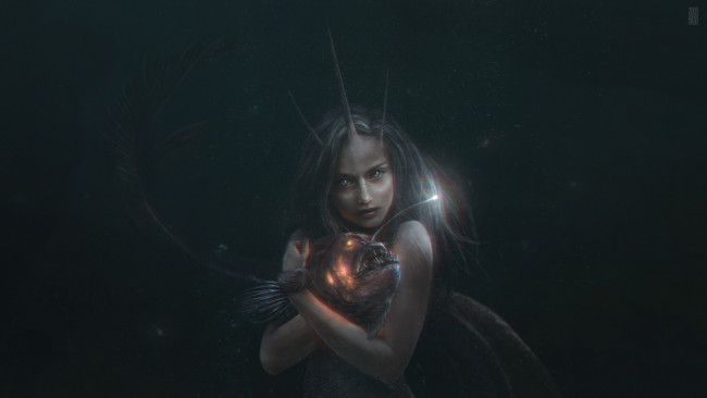 Обои картинки фото 