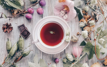 Картинка еда напитки +чай композиция чай шоколад