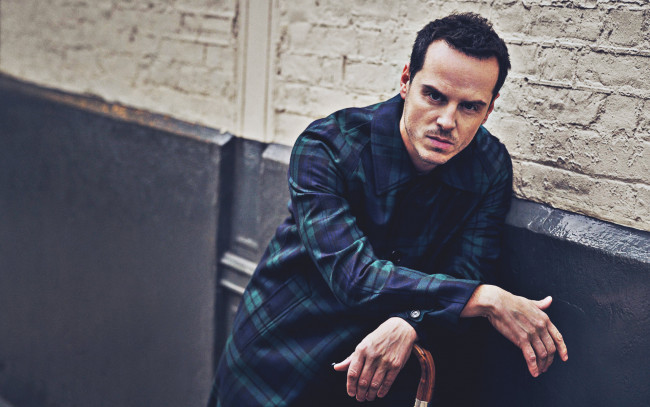 Обои картинки фото мужчины, andrew scott, эндрю, скотт, ирландский, актер, мужчина, знаменитости