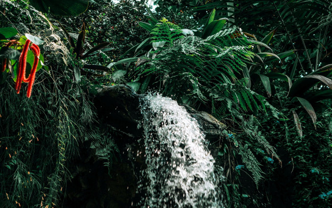 Обои картинки фото природа, водопады, вода, водопад, поток