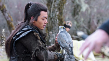 Картинка кино+фильмы the+wolf цзичун птица