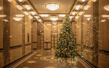 Картинка праздничные ёлки фойе елка шарики гирлянды