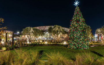 Картинка праздничные ёлки лужайка вечер елка шарики гирлянды