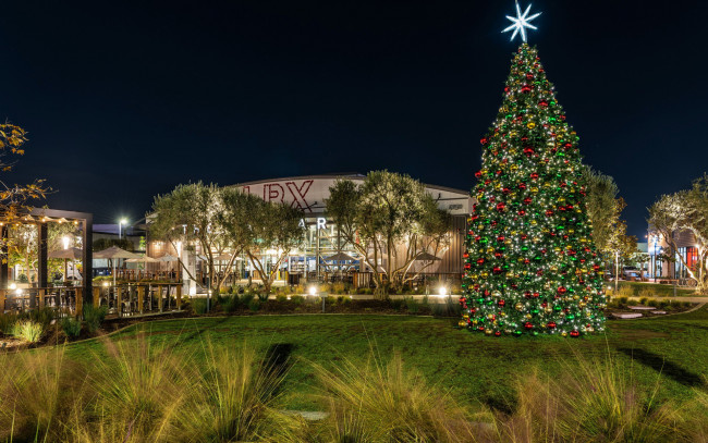 Обои картинки фото праздничные, ёлки, лужайка, вечер, елка, шарики, гирлянды