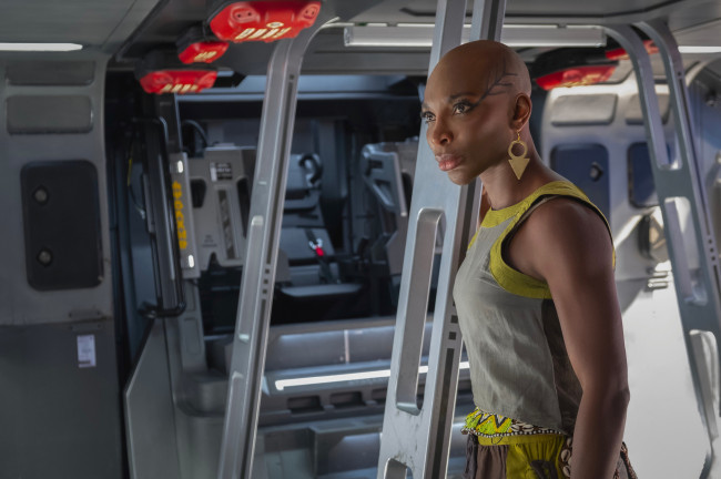 Обои картинки фото black panther,  wakanda forever || 2022, кино фильмы,  wakanda forever, черная, пантера, ваканда, навсегда, фантастика, боевик, драма, aneka, михаэла, коэл, michaela, coel