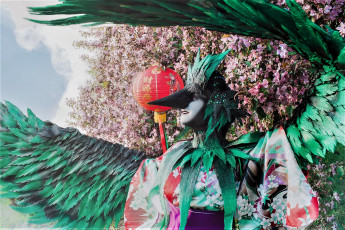 Картинка девушки наталья+фильченкова+ +alisa образ костюм крылья