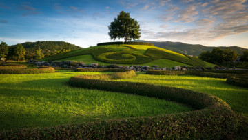 Картинка royal+flora+ratchaphruek+garden thailand природа парк royal flora ratchaphruek garden